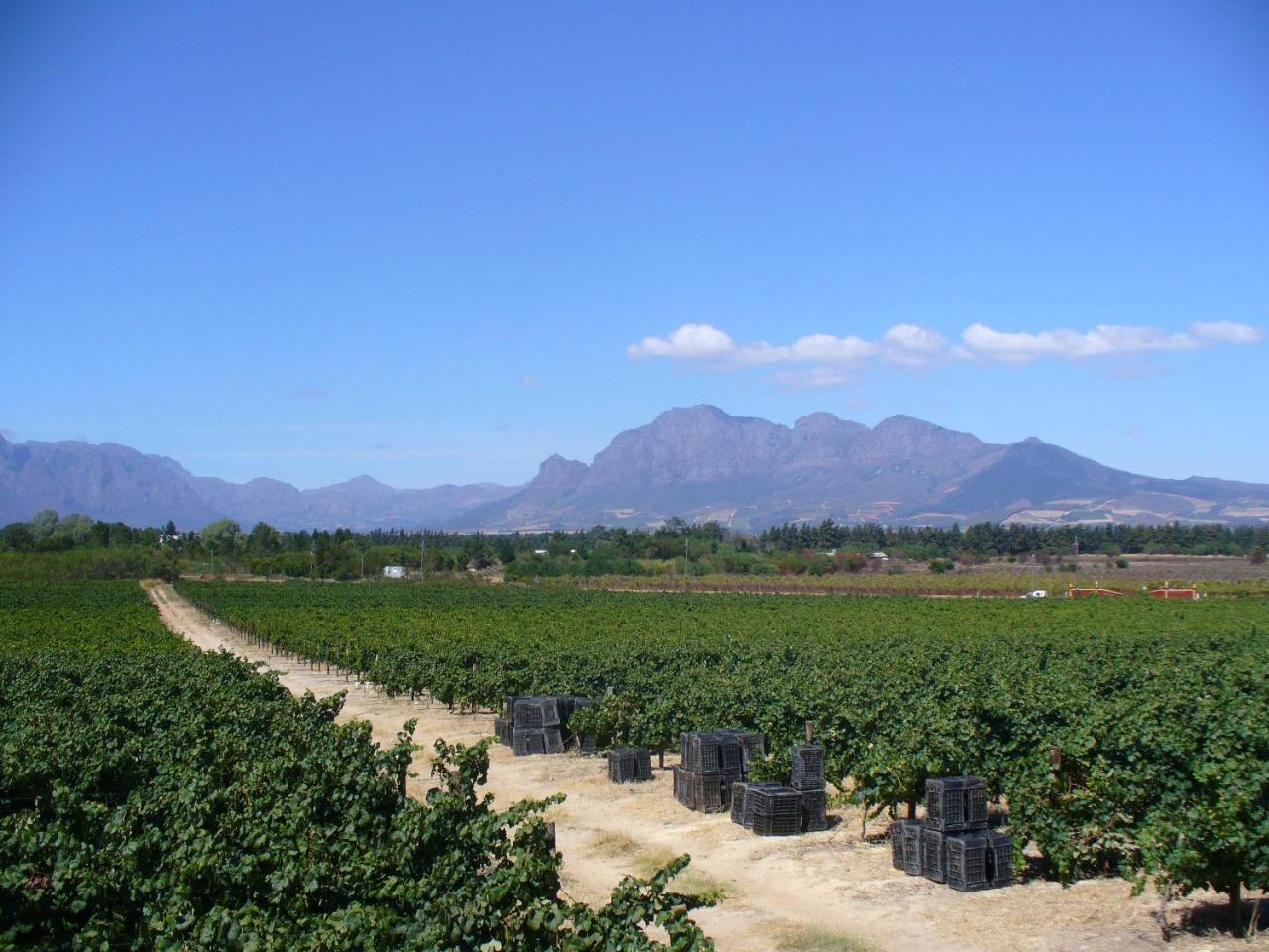 Hartebeeskraal Selfcatering Cottage Paarl Luaran gambar